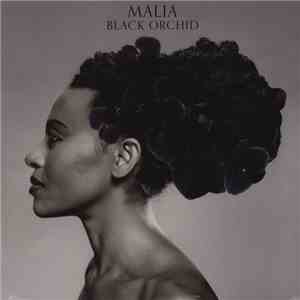 Malia - Black Orchid