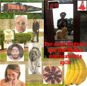 Per-Arne Hognert And Hal McGee - Microcassette Split