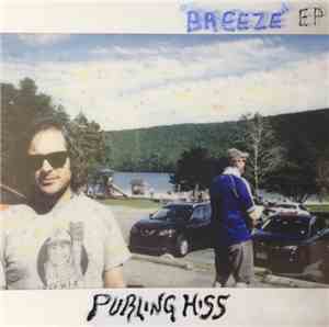 Purling Hiss - 