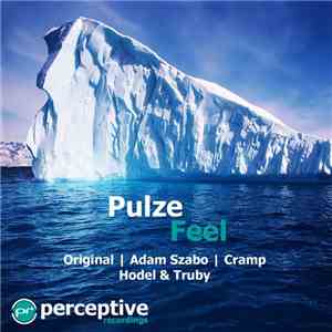 Pulze - Feel