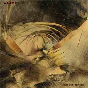 Weave - Into The Manifold