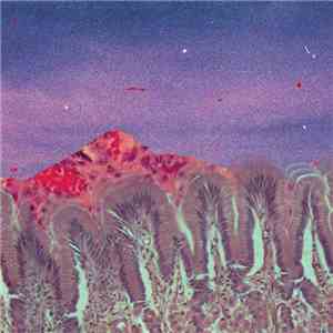 Naphta  / Braki  - Under The Face