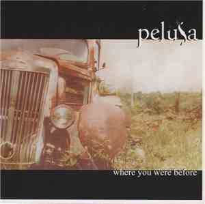 Pelusa  - Where You Were Before