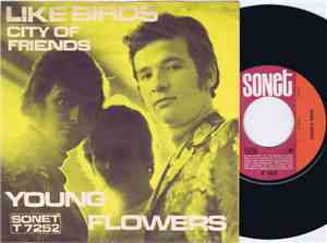 Young Flowers - Like Birds