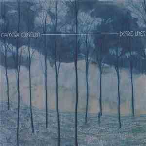 Camera Obscura - Desire Lines