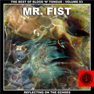 Mr. Fist - Reflecting On The Echoes