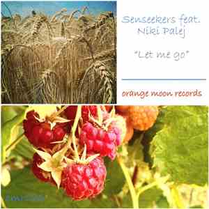 Senseekers Feat. Niki Palej - Let Me Go