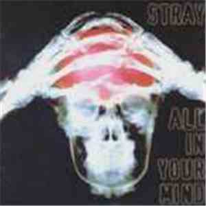 Stray  - All In Your Mind