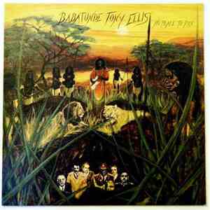 Babatunde Tony Ellis - No Place To Run