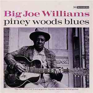 Big Joe Williams - Piney Woods Blues