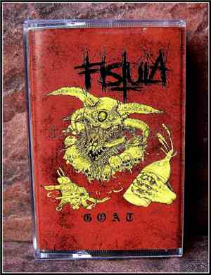 Fistula - Goat