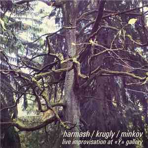 Harmash / Krugly / Minkov - Live Improvisation At «Ў» Gallery