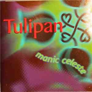 Tulipan - Manic Celeste