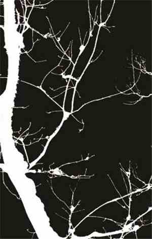 Defixiones - Harmonices Inferi