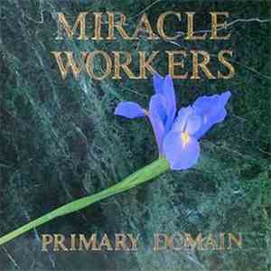 Miracle Workers - Primary Domain