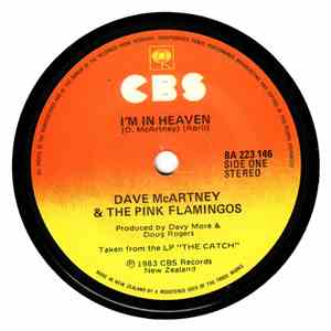 Dave McArtney & The Pink Flamingos - I'm In Heaven