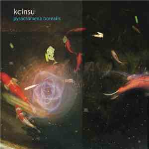 Kcinsu - Pyractomena Borealis