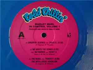 Marley Marl - In Control Volume 1