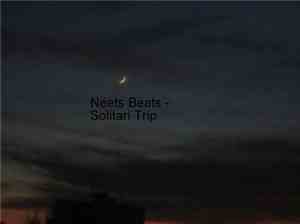 Neets Beats - Solitari Trip