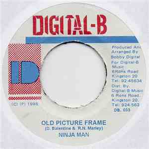 Ninja Man - Old Picture Frame