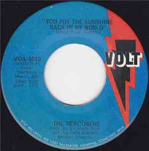 The Newcomers - You Put The Sunshine Back In My World