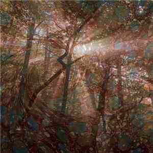 Adam Leonard - Nature Recordings