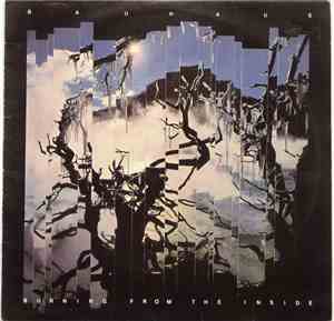 Bauhaus - Burning From The Inside