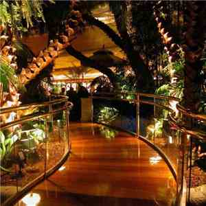 Jon Coe  - Mix #3: Rainforest Cafe Two Step