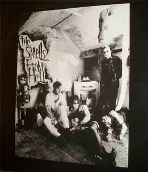 The Smells From Hell - Your Love Is Wild / Almost Mine
