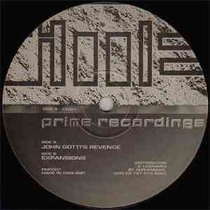Vinylgroover & Trixxy - John Gotti's Revenge / Expansions