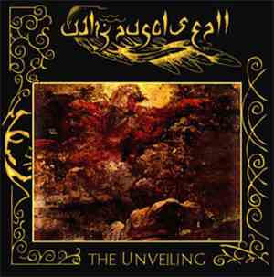 Why Angels Fall - The Unveiling