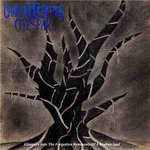 Charting The Depths Of Despair - Glimpses Into The Forgotten Remnants Of A  ...