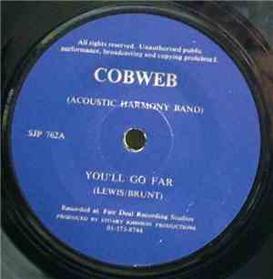 Cobweb (Acoustic Harmony Band) - You'll Go Far