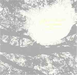 Comets On Fire - Field Recordings From The Sun