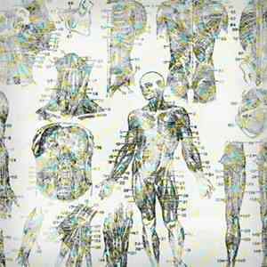 Heartbeat(s) - Home Remedies