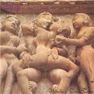 Misanthrope  - Miracles: Totem Taboo