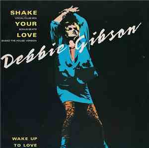 Debbie Gibson - Shake Your Love