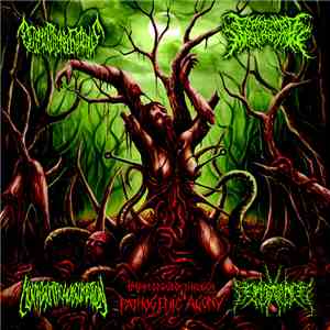 Fermented Masturbation, Decomposition Of Entrails, Morphogenetic Malformati ...