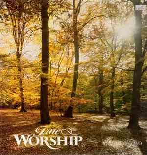 Various - True Worship Volume Two
