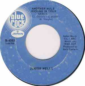 Junior Wells - Another Mule Is Kicking In Your Stall