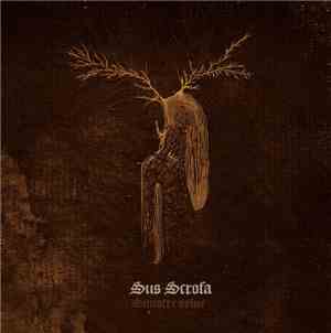 Sus Scrofa - Sinistre Sylve