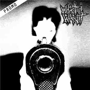What I Want - Promo 2015