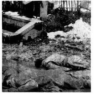 Alaskan - The Weak And The Wounded