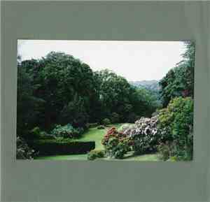 Essex Green - Singles Club #8
