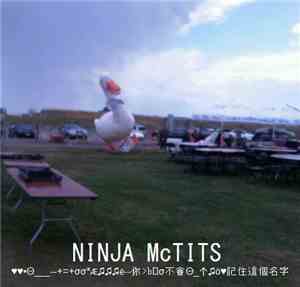 Ninja McTits - ♥♥•Θ___--+=+σσÆ♫♫♫ë--你>b᦮σ不會Θ_↑♫ö♥記住這個名字