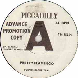 Sounds Orchestral - Pretty Flamingo
