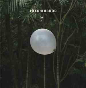Trachimbrod - Leda