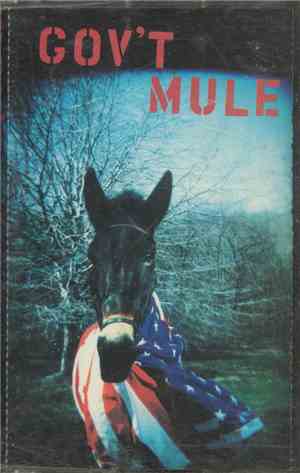 Gov't Mule - Gov't Mule