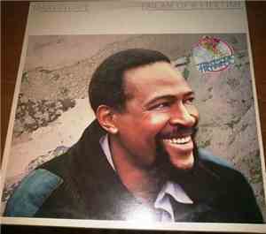 Marvin Gaye - Dream Of A Lifetime