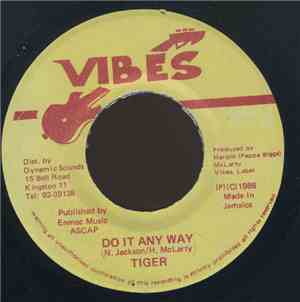 Tiger - Do It Anyway